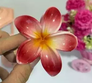 GANCHOS CAIMANES SENCILLOS