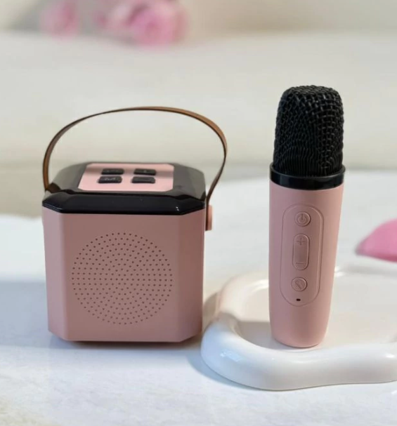 KARAOKE CON MICROFONO