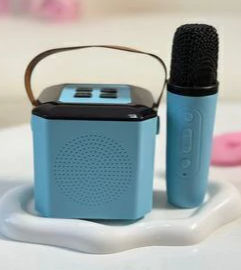KARAOKE CON MICROFONO