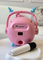PARLANTE KARAOKE BOX KTS-1686